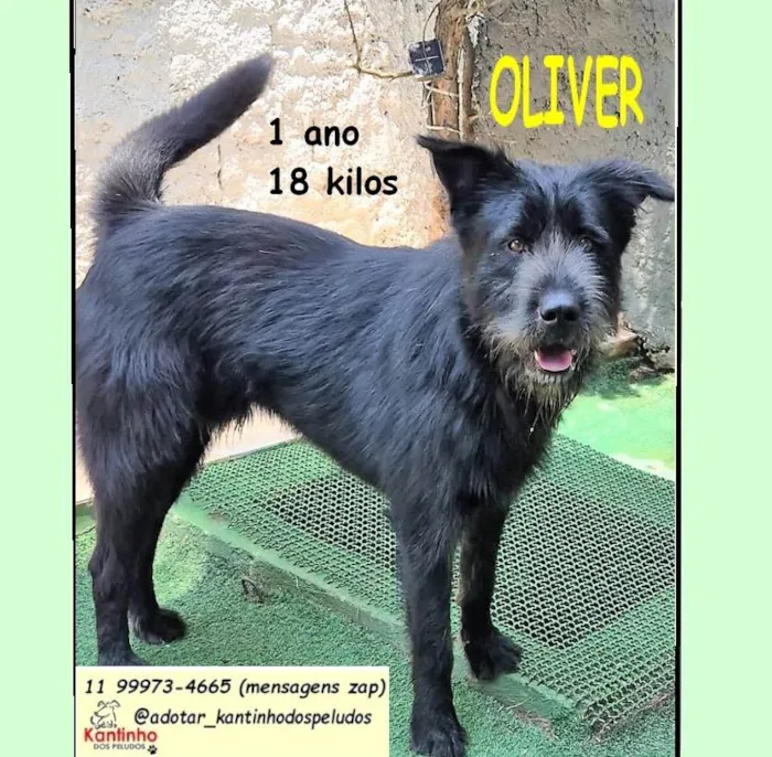 OLIVER