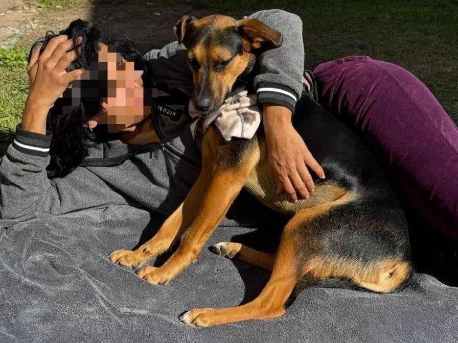 Cachorro ra a SRD-ViraLata idade 1 ano nome Nala