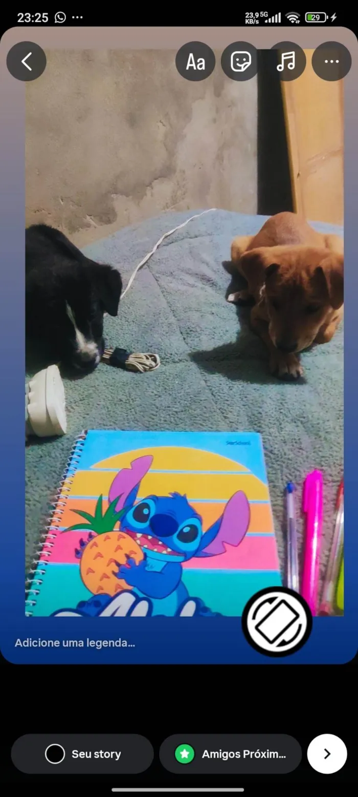 Cachorro ra a SRD-ViraLata idade 2 a 6 meses nome Guina