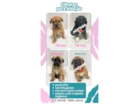 Filhotes para doação