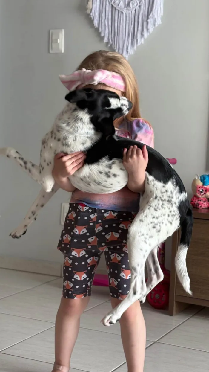 Cachorro ra a SRD-ViraLata idade 7 a 11 meses nome Potter