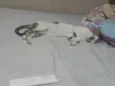 Gato ra a SRD-ViraLata idade 2 anos nome Lino