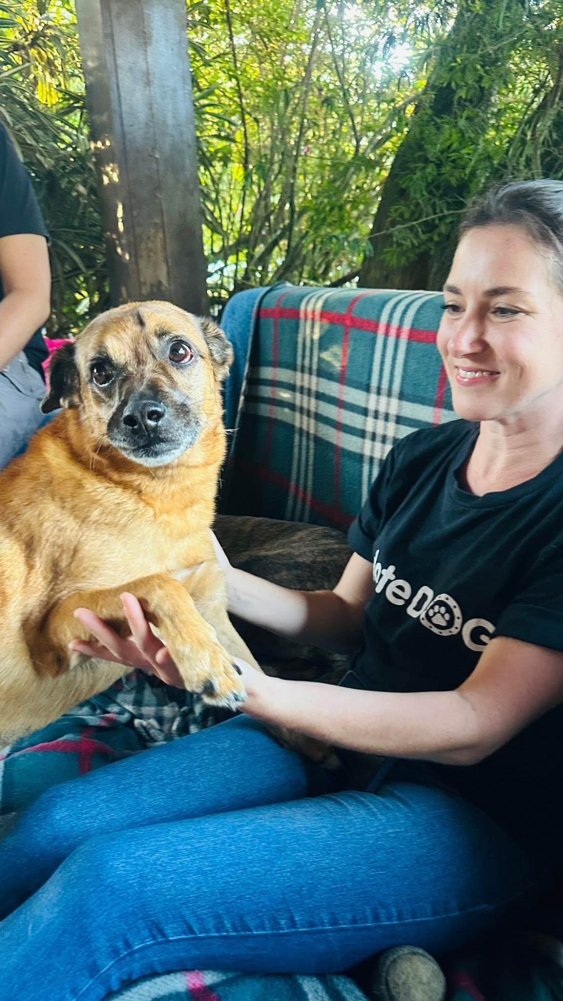 Cachorro ra a SRD-ViraLata idade 2 anos nome Chorão 