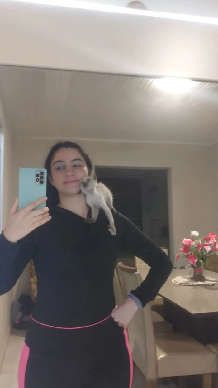 Gato ra a SRD-ViraLata idade Abaixo de 2 meses nome Pingo