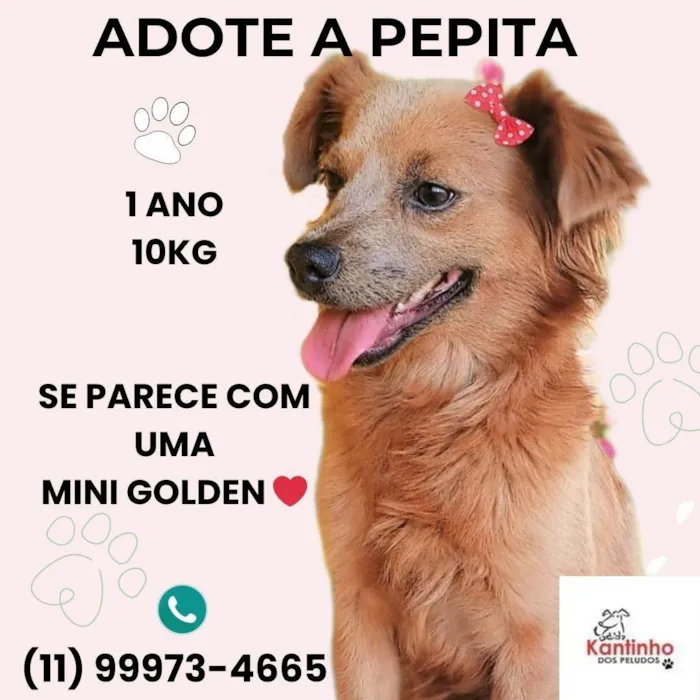 Pepita 
