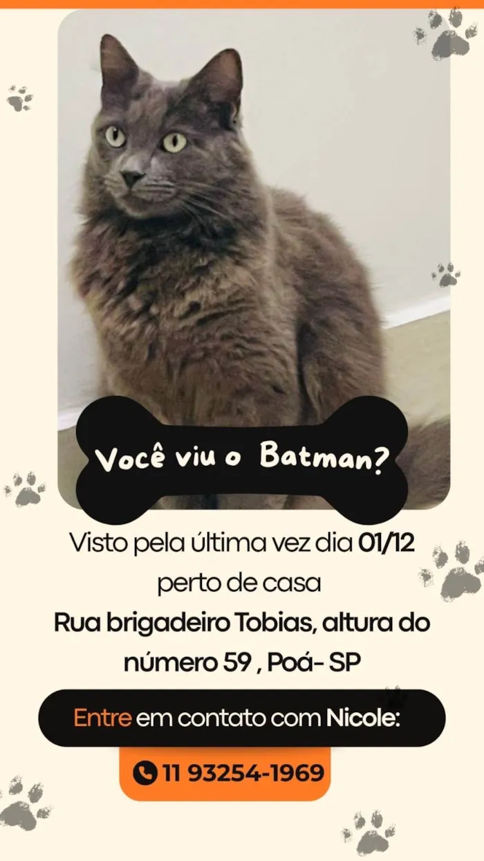 Gato ra a SRD-ViraLata idade 5 anos nome Batman 
