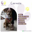 Carmela