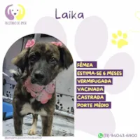 Laika