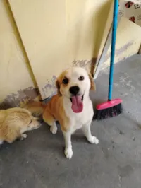 Bidu e preta/sorridente