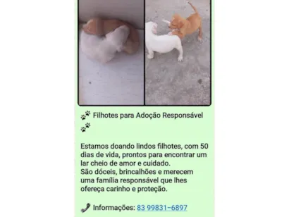 Cachorro raça SRD-ViraLata idade Abaixo de 2 meses nome Mel