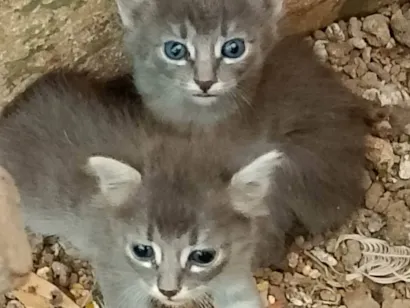 MARIA DE LOURDES VIEIRA