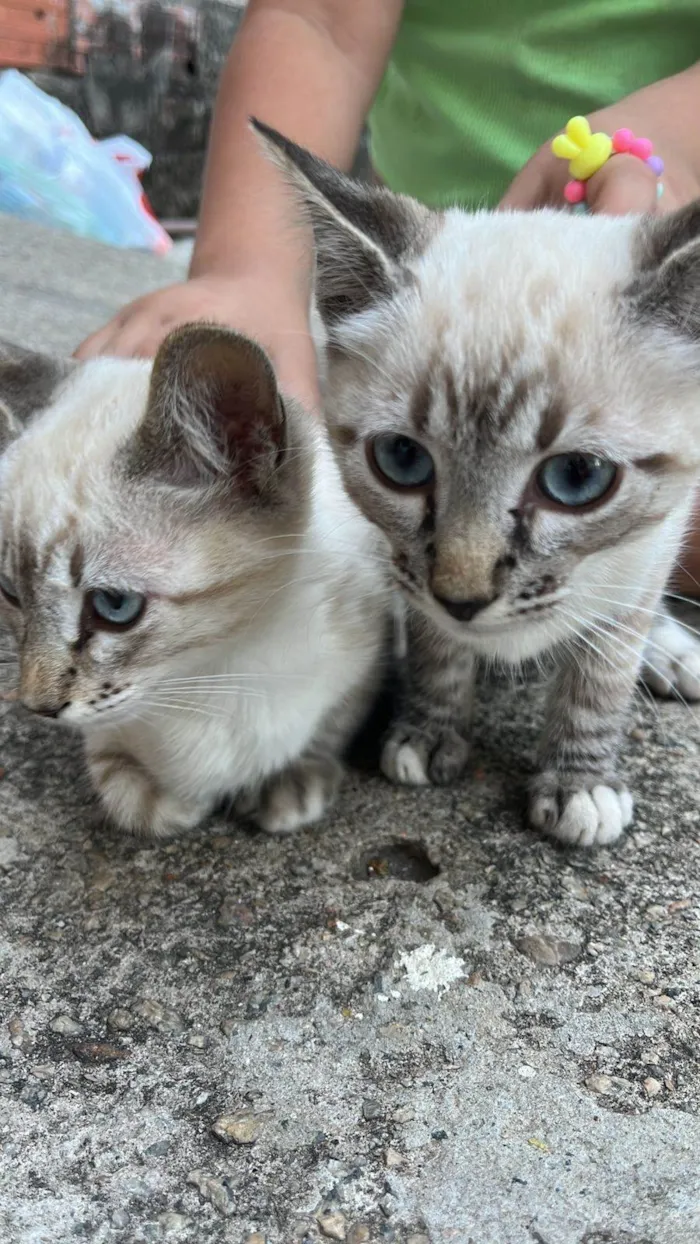 Gabriel e Larissa (Gaga e Lala)