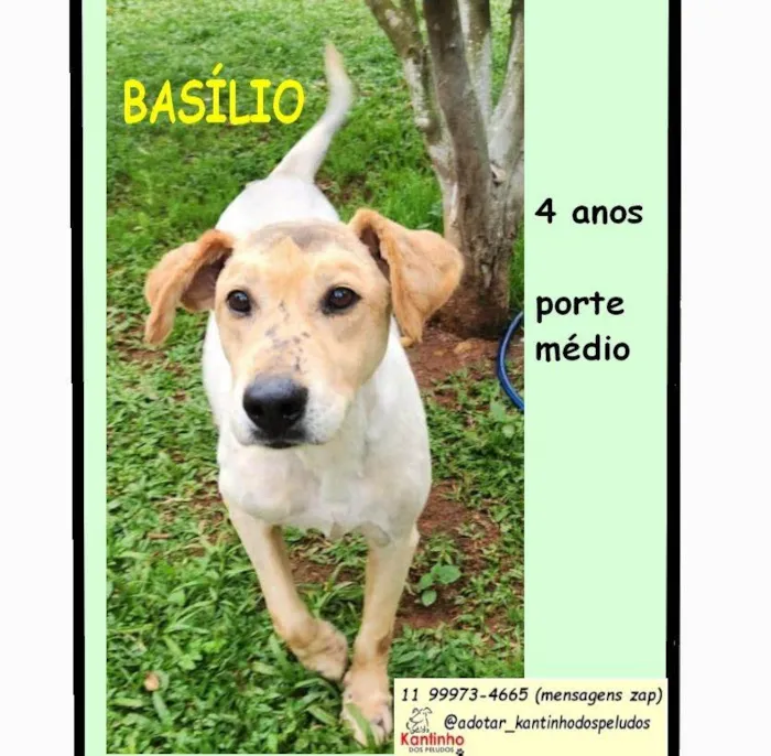 BASILIO