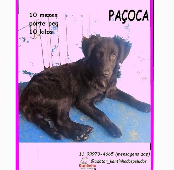 PAÇOCA