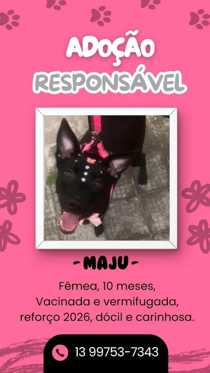 Maju