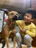 Cachorro raça SRD-ViraLata idade 5 anos nome Scooby 