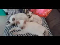 Quente - Meus filhos deram esse nome