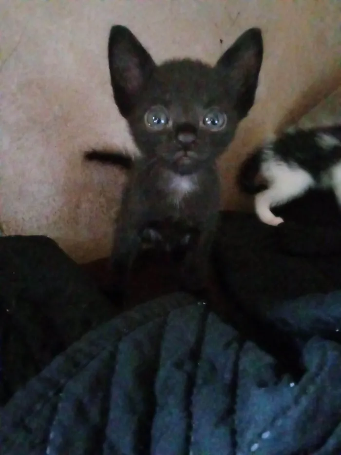 Não tem nomes ainda