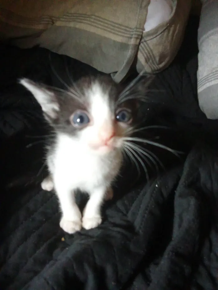 Não tem nomes ainda