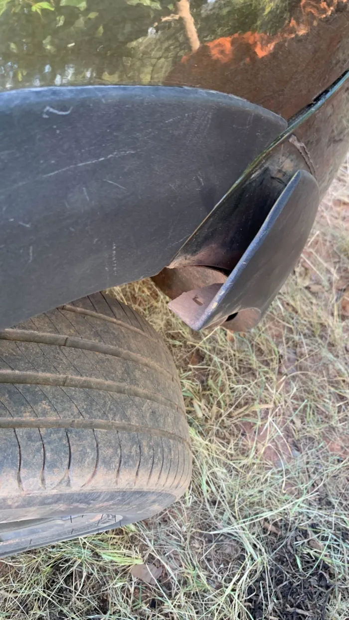 Cachorro raça SRD-ViraLata idade 7 a 11 meses nome Zira