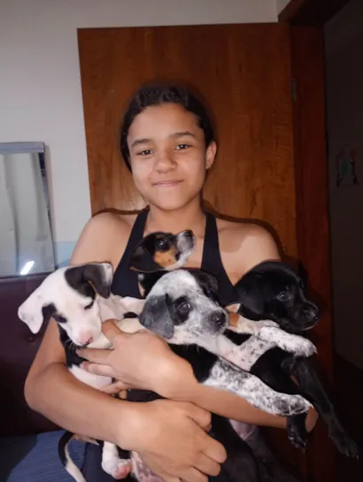 Cachorro raça SRD-ViraLata idade 2 a 6 meses nome Vários 