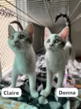 Donna & Claire