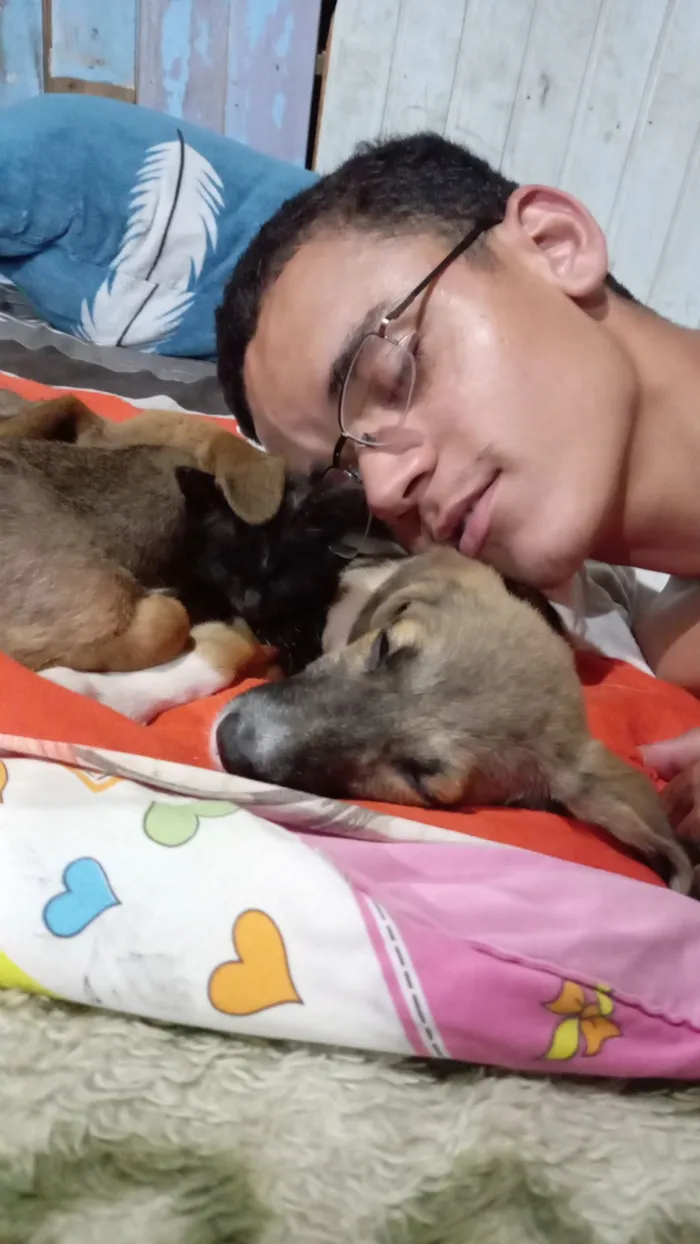 Cachorro raça SRD-ViraLata idade 2 a 6 meses nome Stela