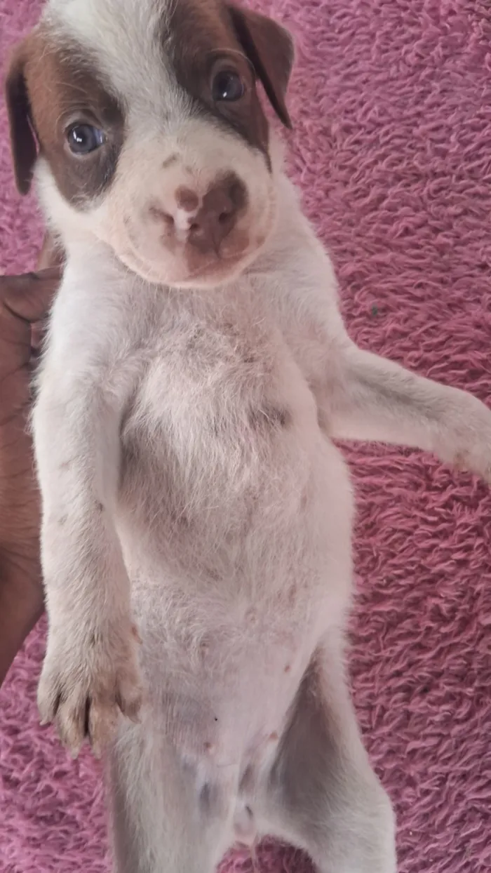 Ainda não coloquei nomes 