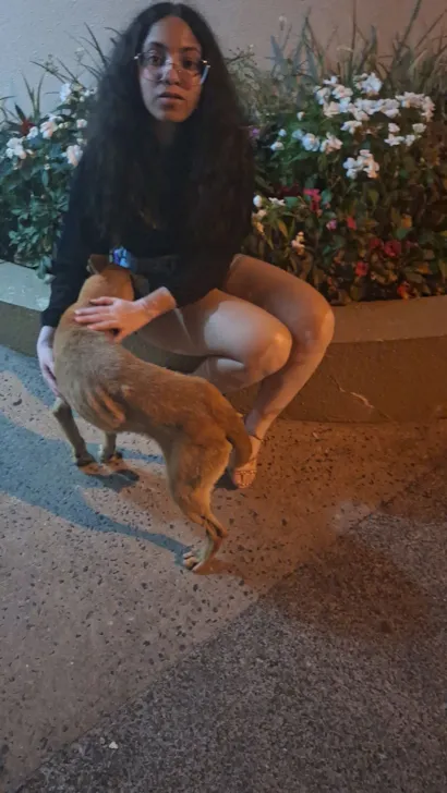 Cachorro raça SRD-ViraLata idade 2 anos nome Sem nome