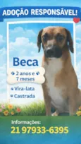 Beca