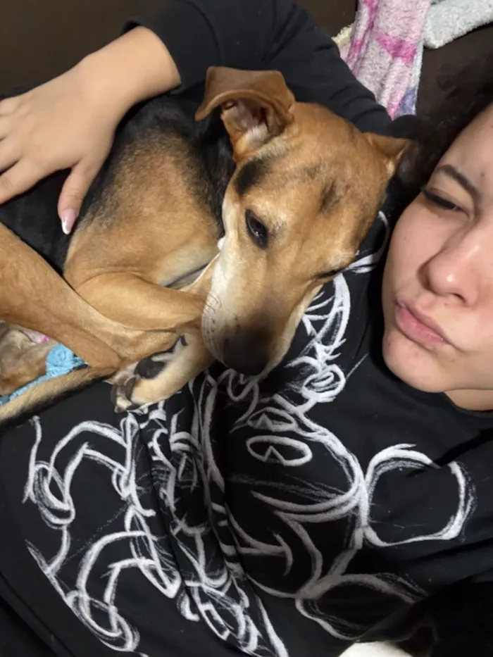 Cachorro raça SRD-ViraLata idade 3 anos nome Tico