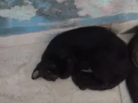 Ainda n há definição