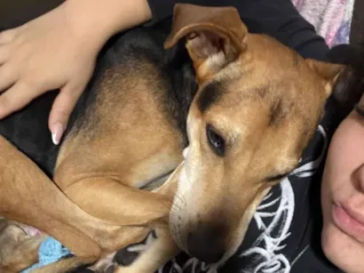 Cachorro raça SRD-ViraLata idade 3 anos nome Tico