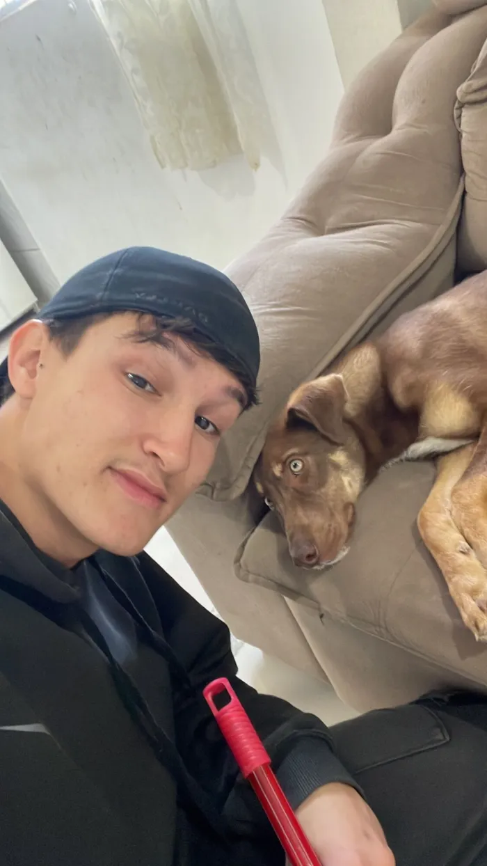 Cachorro raça Basset-Cofap idade 2 a 6 meses nome choco