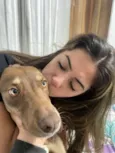 Cachorro raça Basset-Cofap idade 2 a 6 meses nome choco