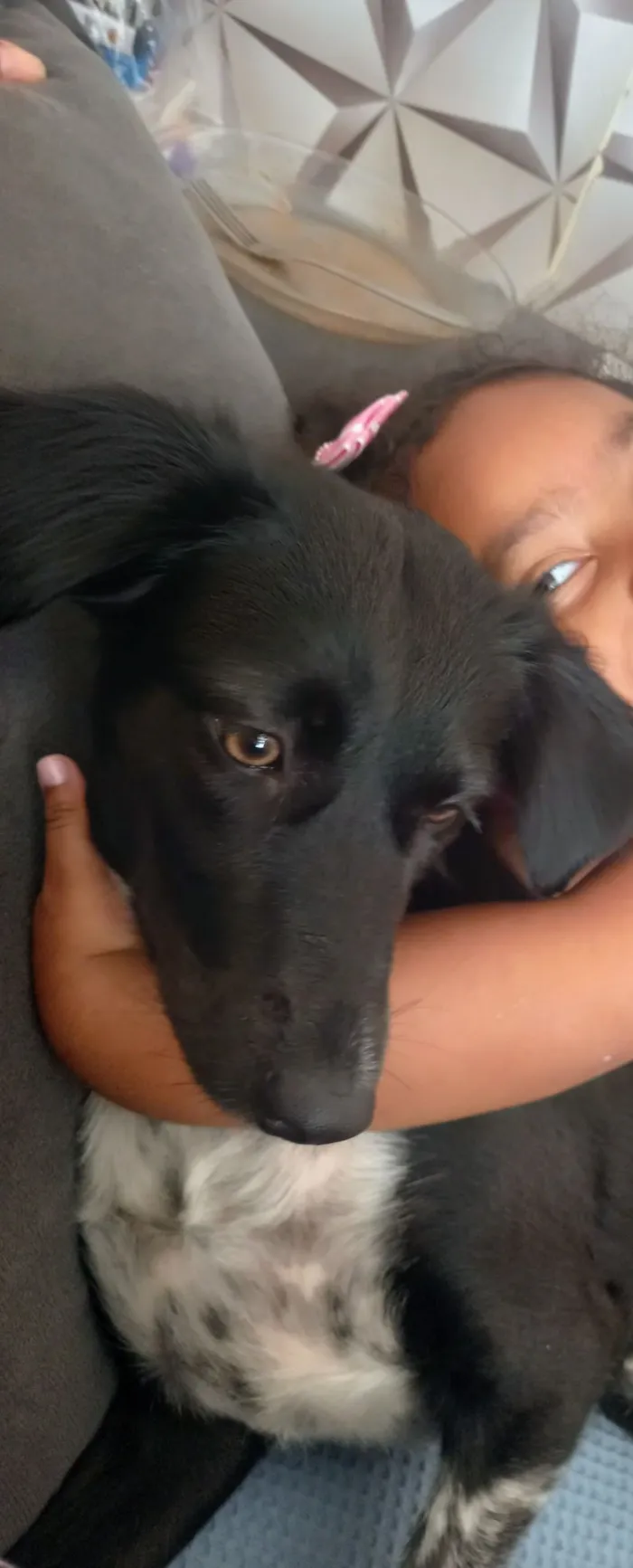 Cachorro raça SRD-ViraLata idade 2 anos nome Mila