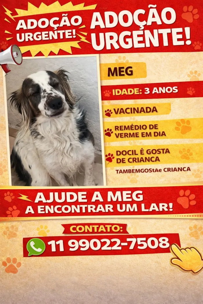 Cachorro raça SRD-ViraLata idade 3 anos nome MEG