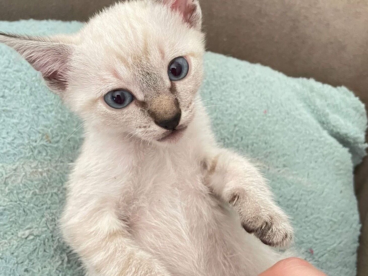 Sem nome até o momento 