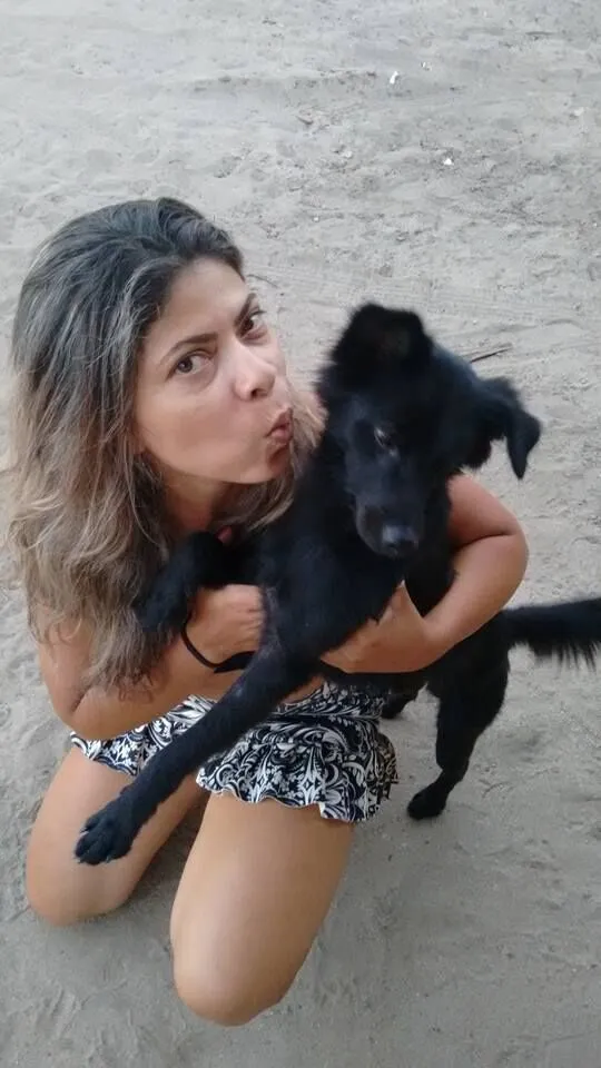 Cachorro raça Chow Chow idade 6 ou mais anos nome Doby