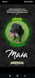Maia