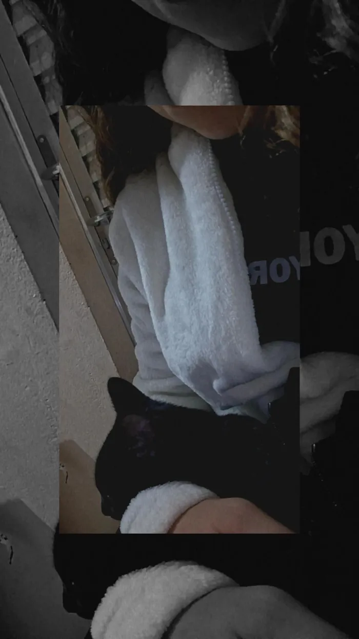 Gato raça SRD-ViraLata idade 2 a 6 meses nome Ele não tem nome 