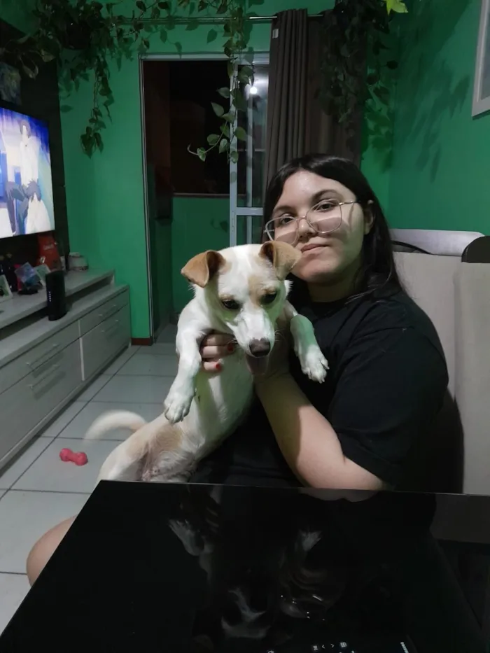 Cachorro raça SRD-ViraLata idade 7 a 11 meses nome Meg 
