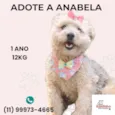 Anabela