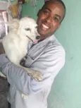 Cachorro raça SRD-ViraLata idade 3 anos nome Bellinha 