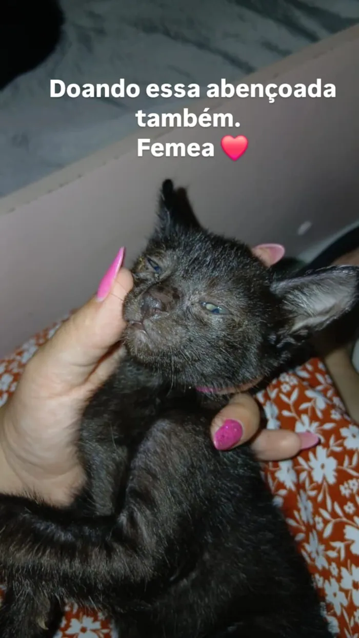 tenho alguns para doar..