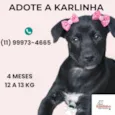 Karlinha