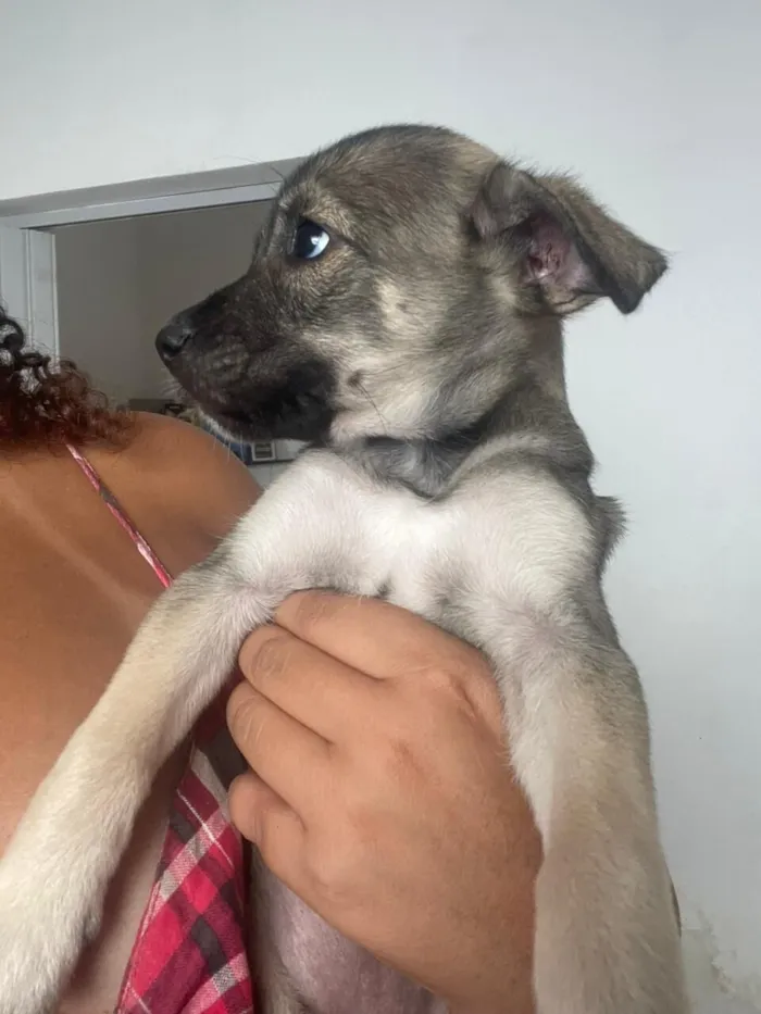 Não tem nome definido 