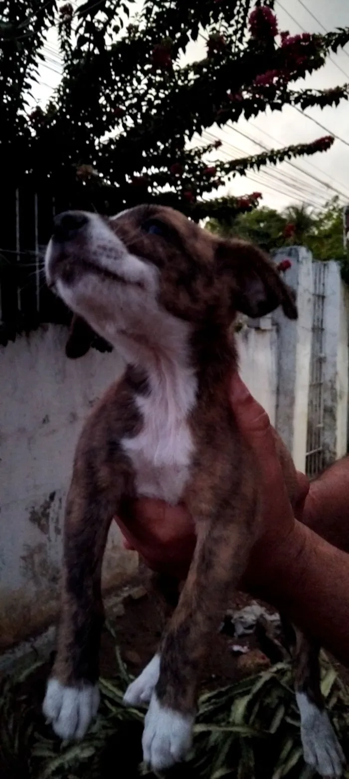 RITA DE CASSIA DA SILVA