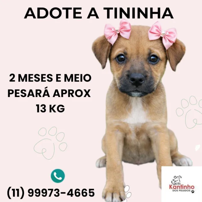 Tininha