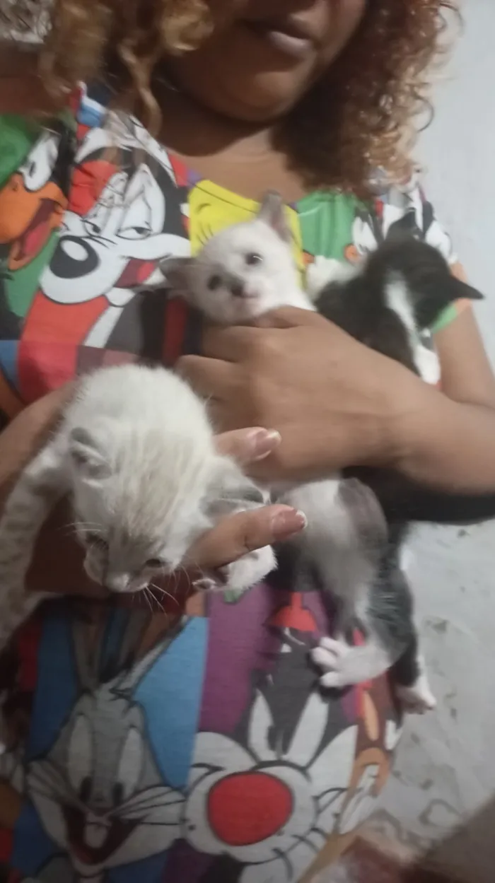 Ceara, Branquinha, Lu